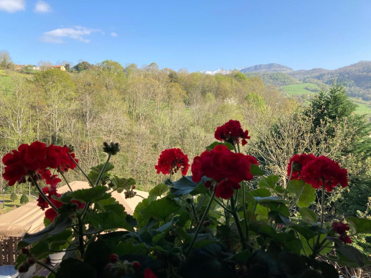 Casa Elena Cangas De Onis Con Wifi Y Parking Gratuito Exteriör bild