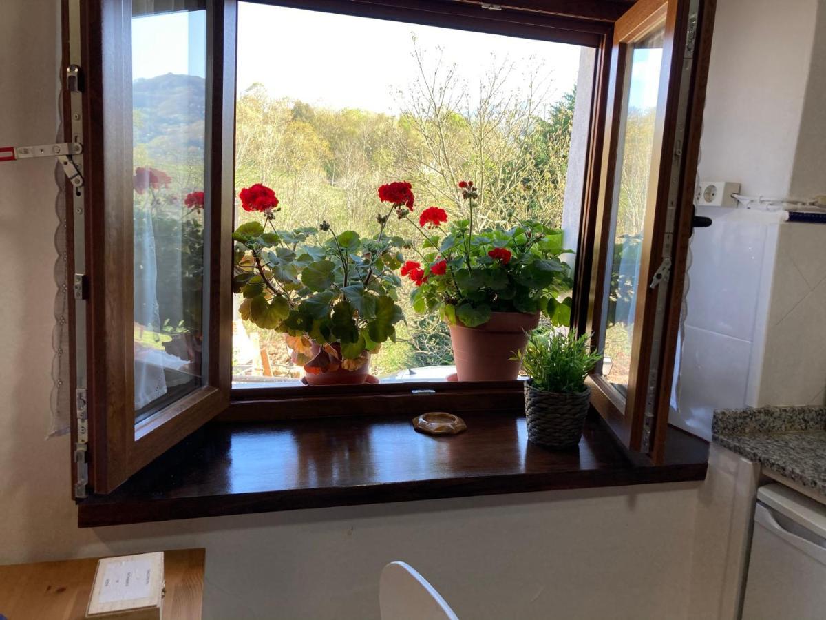 Casa Elena Cangas De Onis Con Wifi Y Parking Gratuito Exteriör bild