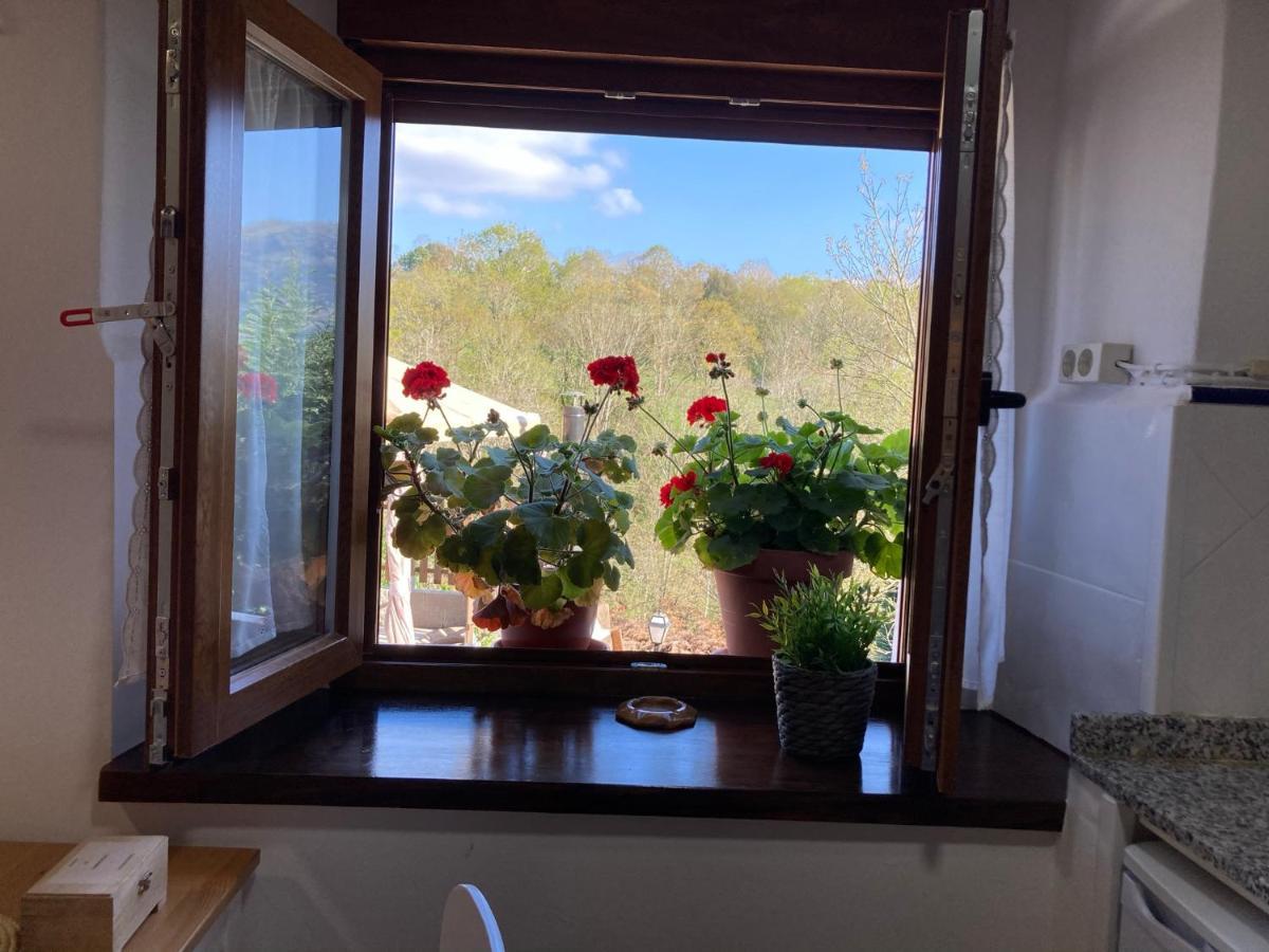 Casa Elena Cangas De Onis Con Wifi Y Parking Gratuito Exteriör bild