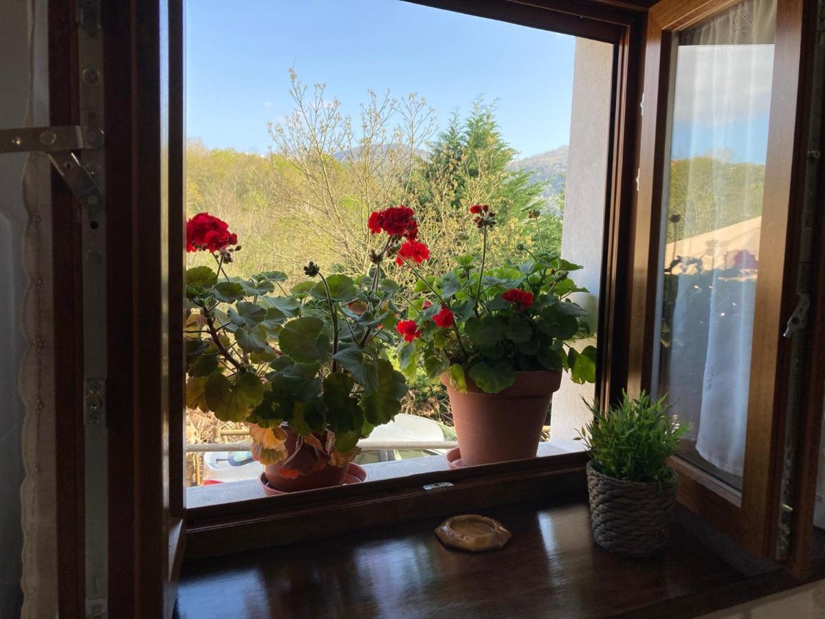 Casa Elena Cangas De Onis Con Wifi Y Parking Gratuito Exteriör bild