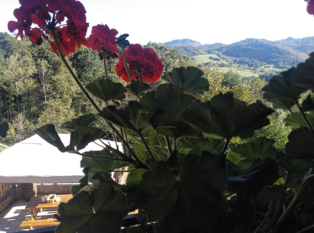 Casa Elena Cangas De Onis Con Wifi Y Parking Gratuito Exteriör bild